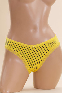 ASSORTED STRIPED PATTERN PANTY-F509 (5pc)