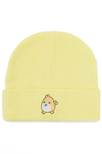 SOLID CHARACTER NEWBORN KNIT HAT-NEWBORNGHAT (12pc)