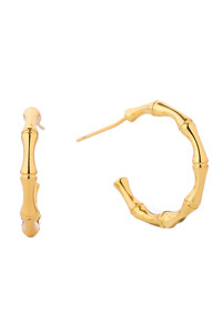 14K Dipped Bamboo Shape Post-SJE310336