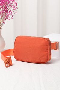 Solid Mini Fanny Belt Bag