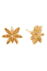 14K Star Anise Post Earring