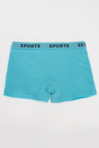Cotton Sports Boy Shorts Panty