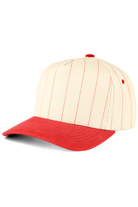 CC BEANIE Pinstripe Palin Two Tone Trucker Hat Baseball Cap
