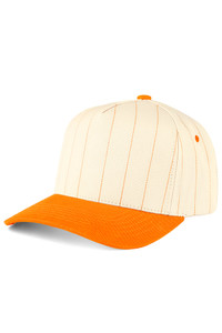 CC BEANIE Pinstripe Palin Two Tone Trucker Hat Baseball Cap