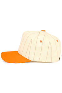 CC BEANIE Pinstripe Palin Two Tone Trucker Hat Baseball Cap
