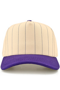 CC BEANIE Pinstripe Palin Two Tone Trucker Hat Baseball Cap