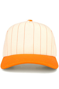 CC BEANIE Pinstripe Palin Two Tone Trucker Hat Baseball Cap