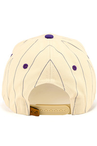 CC BEANIE Pinstripe Palin Two Tone Trucker Hat Baseball Cap