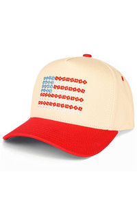 CC BERANIE Daisy Flower Embroidered Pattern USA Flag Trucker Hat Baseball Cap
