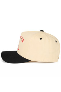 CC BEANIE NORTH POLE SOCIAL CLUB Letter Embroidered  Christmas Theme Trucker Hat Baseball Cap
