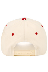 CC BEANIE Small Polka Dot Pattern Print on Brim Two Tone Baseball Cap Trucker Hat
