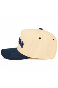 CC BEANIE DOG DAD Letter Embroidered on Two Tone Baseball Cap Trucker Hat
