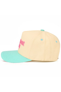 CC BEANIE ASK ME ABOUT MY DOG Letter Embroidered on Two Tone Baseball Cap Trucker Hat