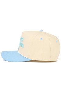 CC BEANIE THIS IS MY DOG WALKING HAT Letter Embroidered on Two Tone Baseball Cap Trucker Hat