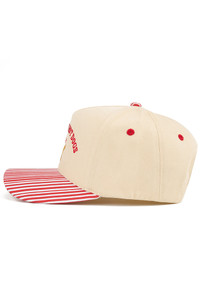 CC BEANIE ALL AMERICAN HOT DOGS with A Dog with American Flag Embroidered on Two Tone Baseball Cap Trucker Hat
