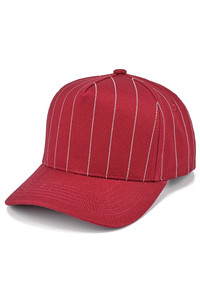 CC BEANIE Pinstripe Pattern on Solid Baseball Cap Trucker Hat
Snap Back