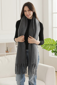 Solid Color Fringe Oblong Winter Scarf