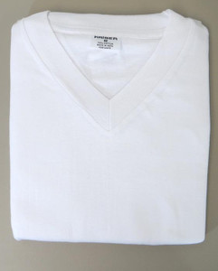 Men-Kaise V neck T-shirts S-XL(1dz)