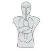 ANATOMICAL TORSO TARGET