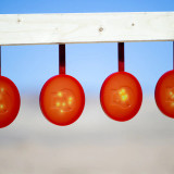 6" Gong Target Color Changing