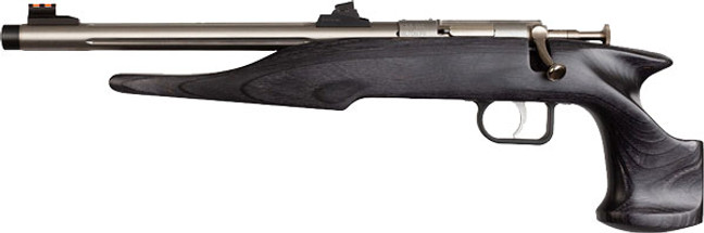 Chipmunk Pistol Hunter 22lr - Stainless/black Lamnt Threaded