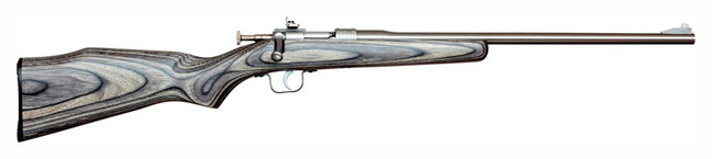 Chipmunk Rifle 22lr - Stainless/black Laminate