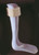 Ankle / Foot Orthosis Alimed Small Size Female Left Foot