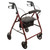 ProBasics Steel Rollator, 6" Wheels