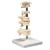 Anatomical Model: 5 Mounted Vertebrae w/Removable Stand