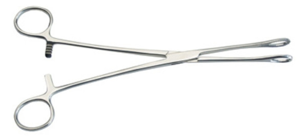 Foerster Sponge Forceps