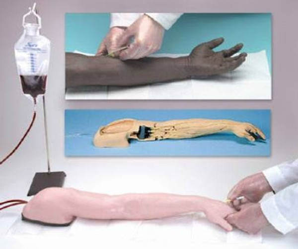 Advanced Venipuncture and Injection Arm, Life/form