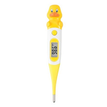 Danny Duck Thermometer