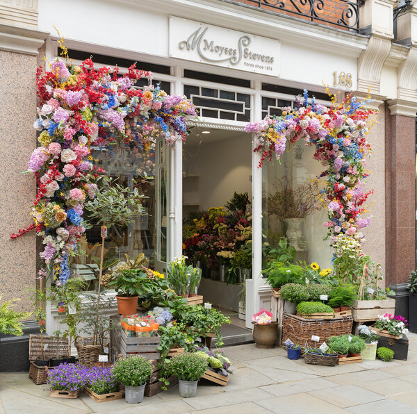 Sloane Square Shop