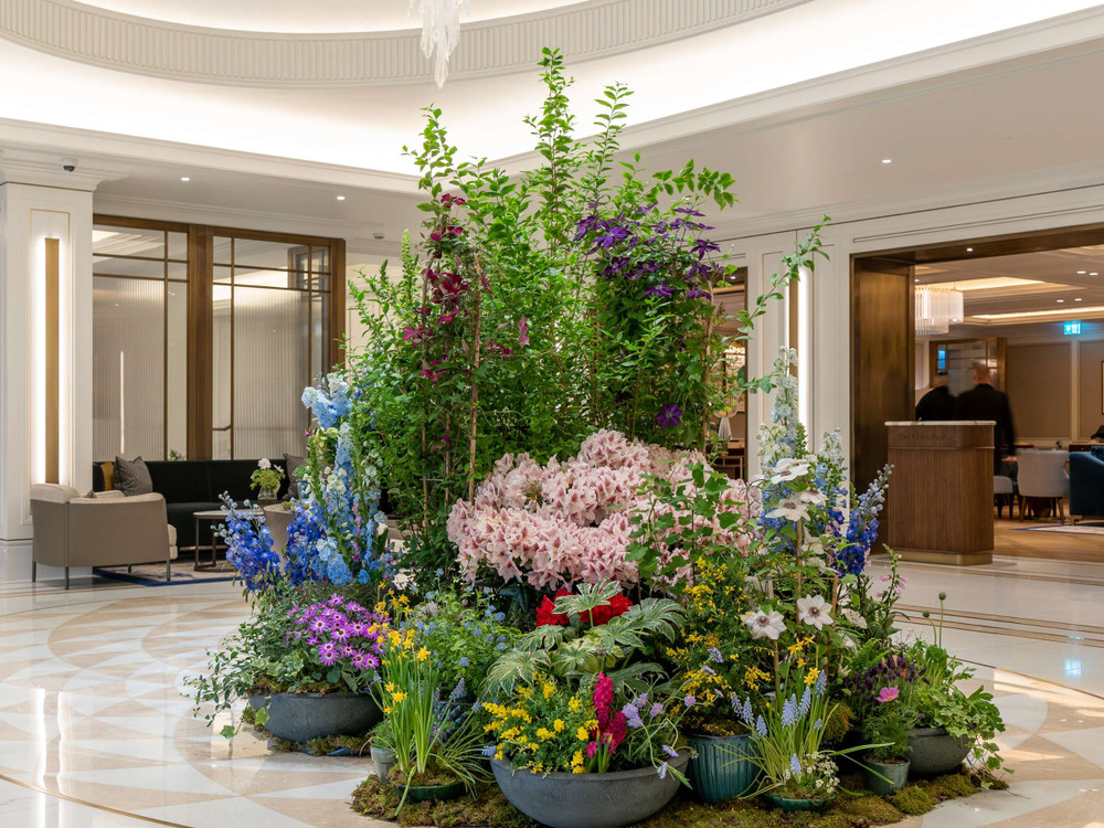 Contracts - Carlton Tower Jumeirah