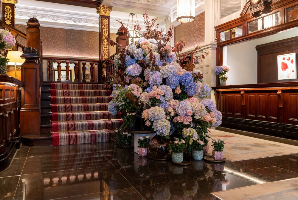 Flowers we love: Hydrangeas