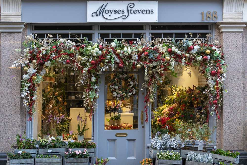 Discover Festive Florals In Store