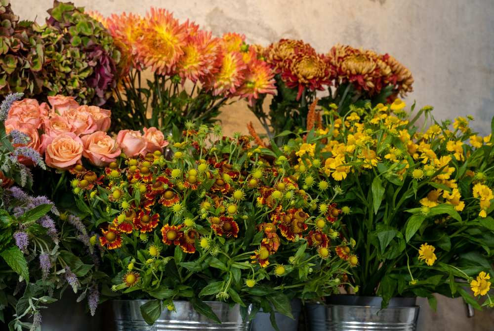 ​Flowers We Love This September