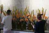 Flowers we love: Alliums and Eremurus