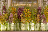 A  Landscape of Cymbidium Orchid