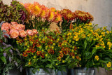 ​Flowers We Love This September
