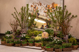 Earth Day at InterContinental London Park Lane