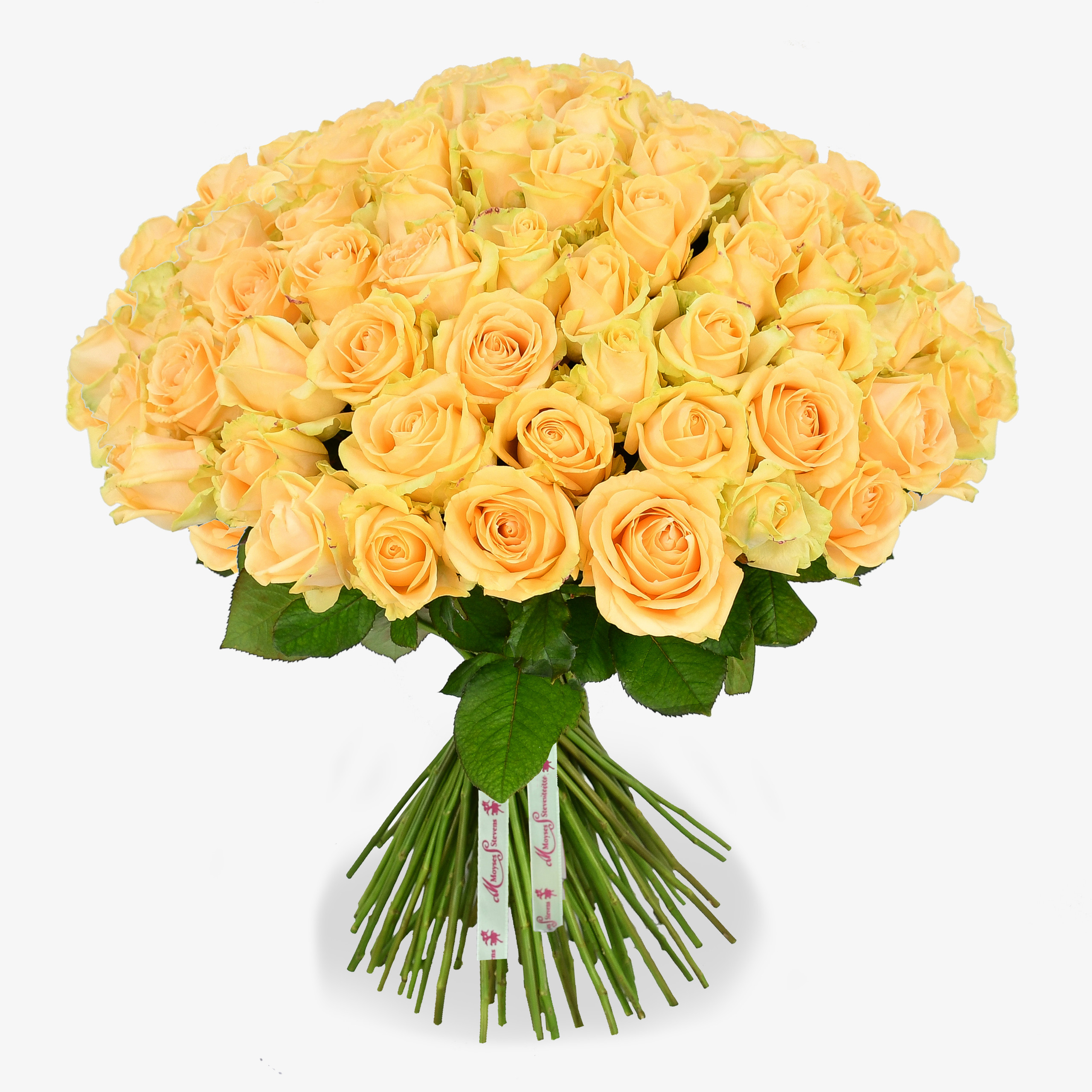 Luxury Flowers Delivery | Moyses Flowers