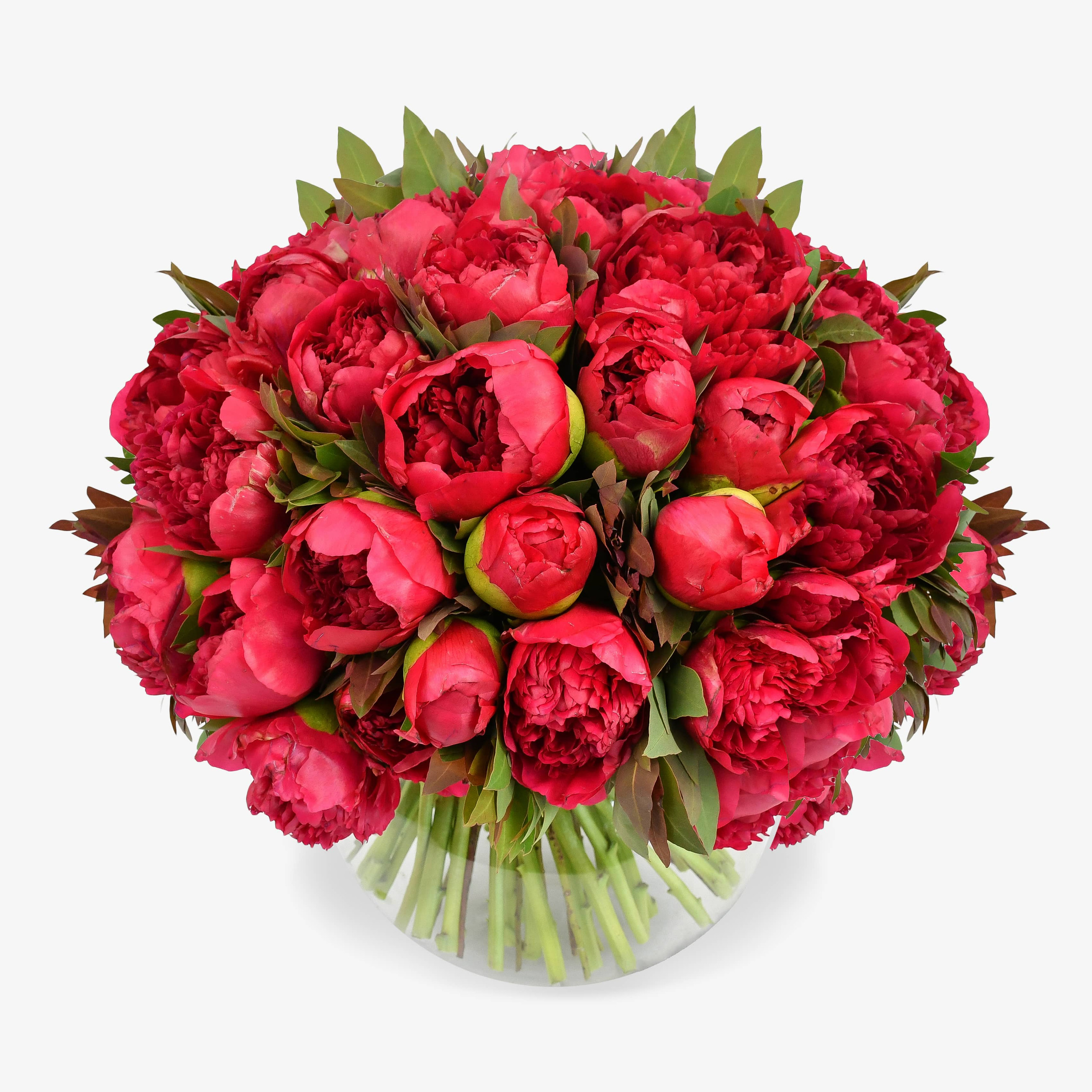 Luxury Flowers London & UK Flower Delivery Moyses Stevens Page 3
