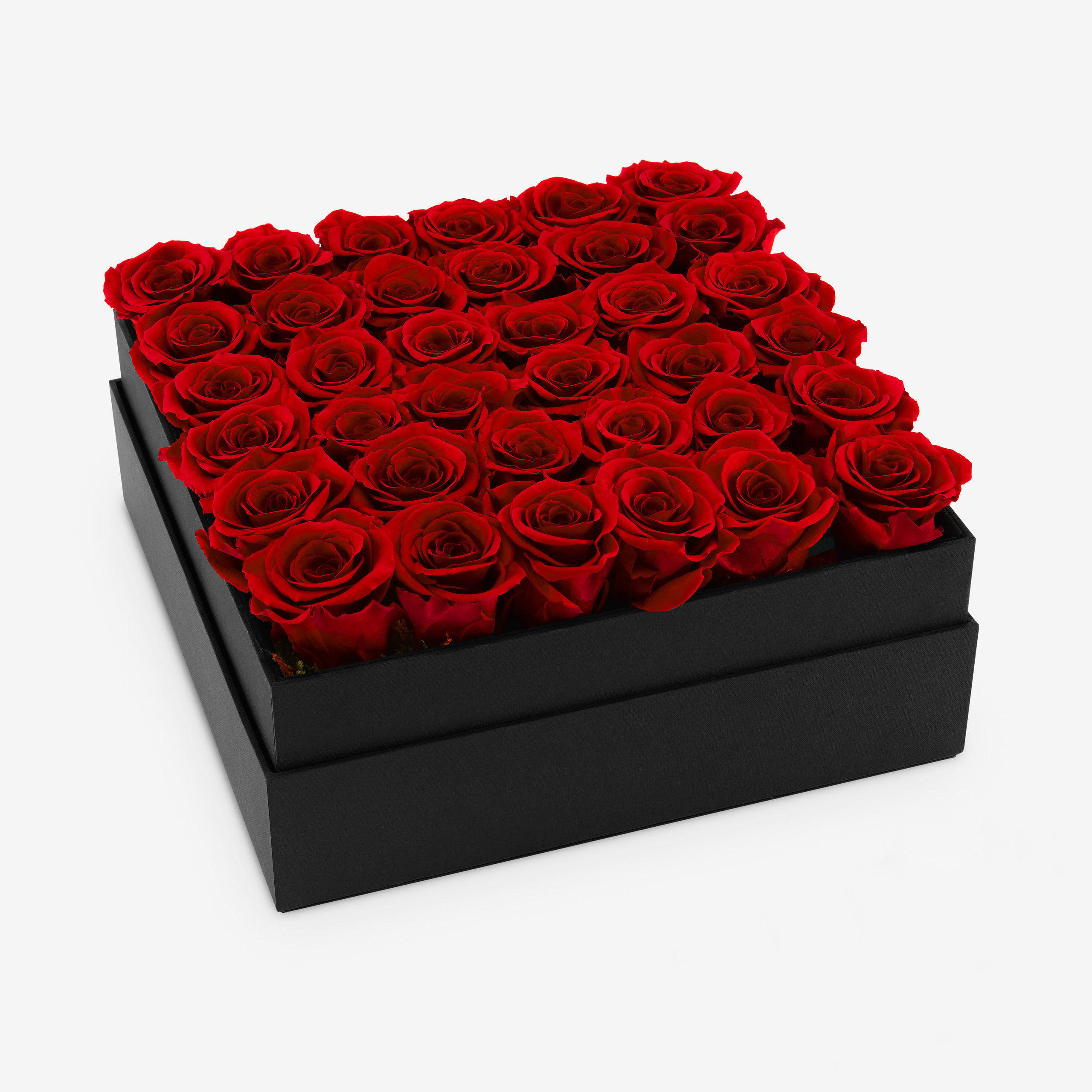 Infinite Roses London and UK Delivery Moyses Stevens Flowers
