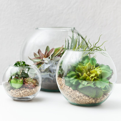 Terrarium Workshop