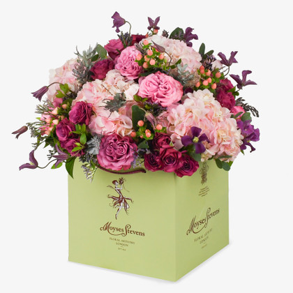 Sweet Serenade Sweet Serenade