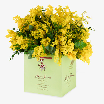 Mimosa Bouquet