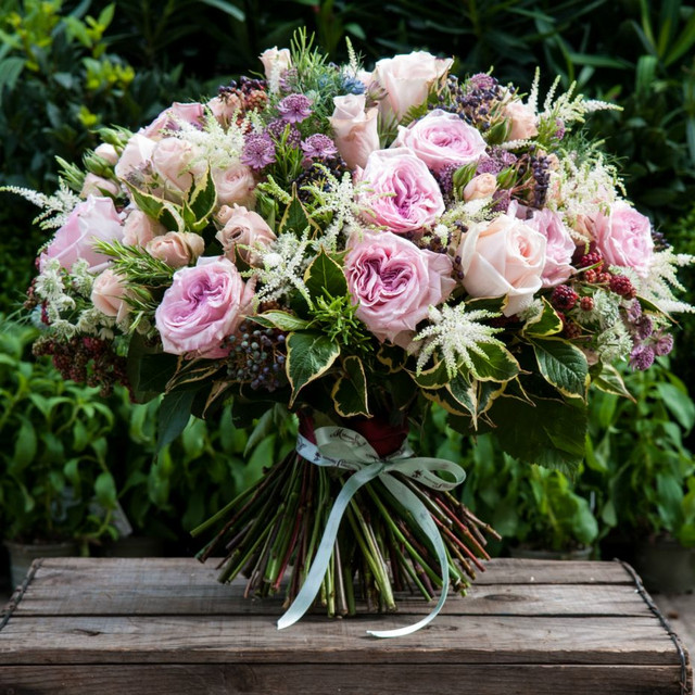 Renaissance Rose | Flower Delivery London & UK | Moyses Stevens Flowers
