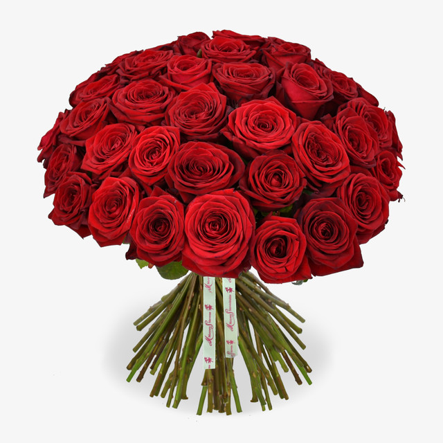 Classic Red Roses Bouquet | Roses Delivered | Moyses Stevens Flowers