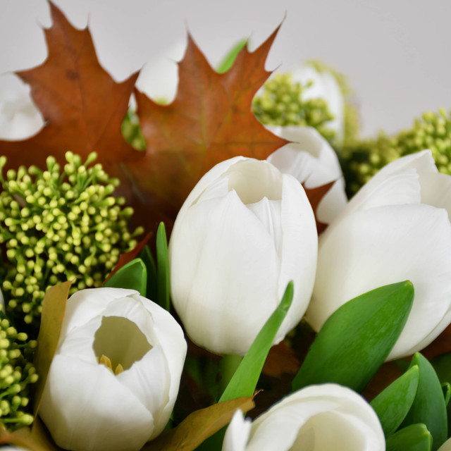 White Tulips & Skimmia